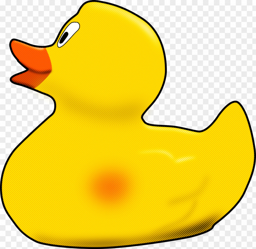 Birds Duck Beak Water Bird Yellow PNG