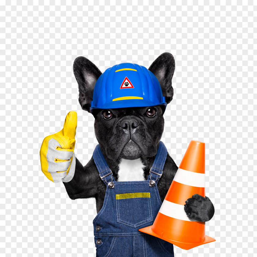 Creative Puppy Anthropomorphic Image Design Boxer Stock Photography Pet Illustration PNG