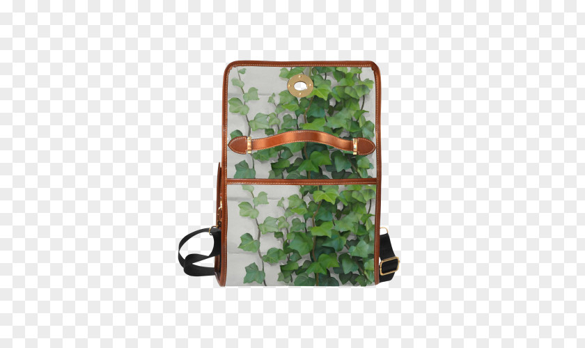 Curtain Creeper Bag Leaf Plant PNG