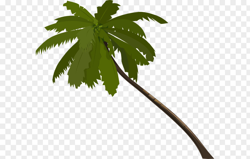 Tree Arecaceae Clip Art PNG