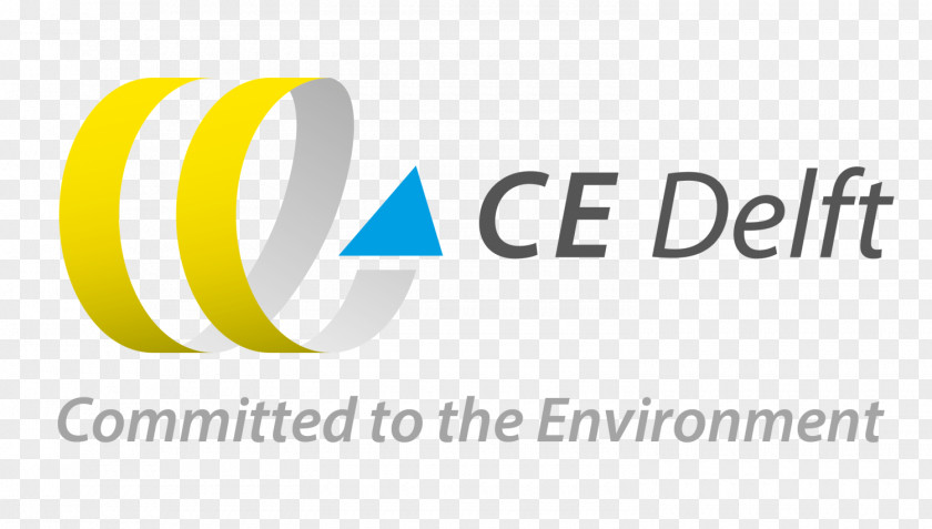 CE Delft Consultant Risk Management Organization PNG