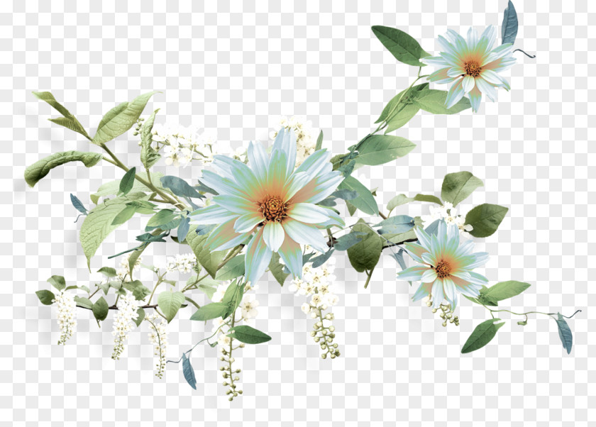 Flowers Composition Render Clip Art PNG