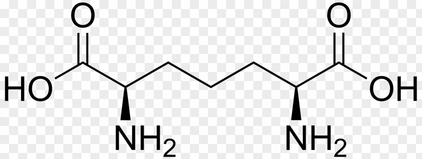 Lysergic Acid Amino Glutaconic Carboxylic Aspartic PNG