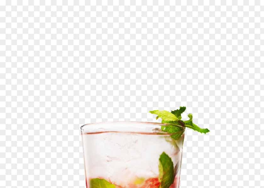 Mojito Cocktail Garnish Bacardi Juice PNG