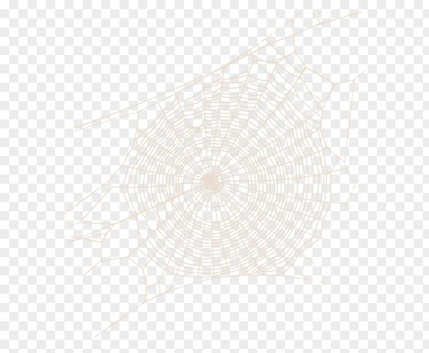 Synthetic Spider Web PNG