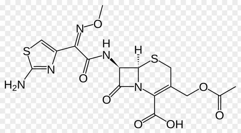 Cefotaxime Amoxicillin β-lactam Antibiotic Cephalosporin Ceftazidime PNG