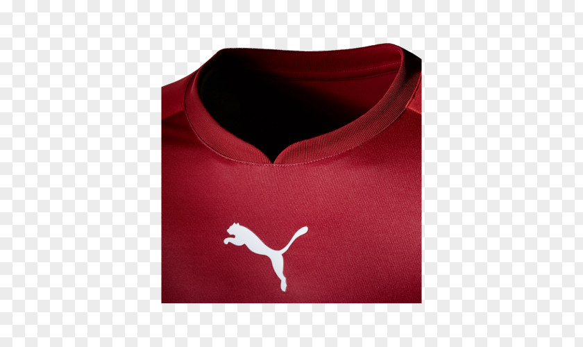 T-shirt UEFA Euro 2016 France National Football Team Kit PNG