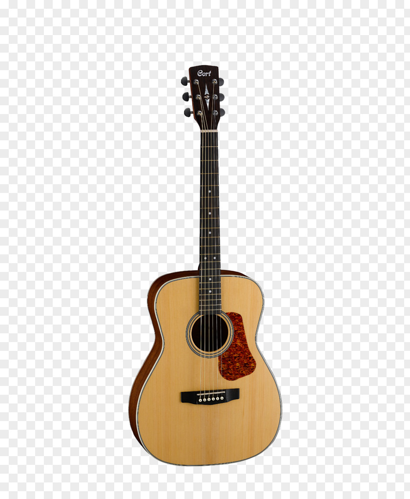 Acoustic Guitar Cort Guitars Musical Instruments Cutaway PNG