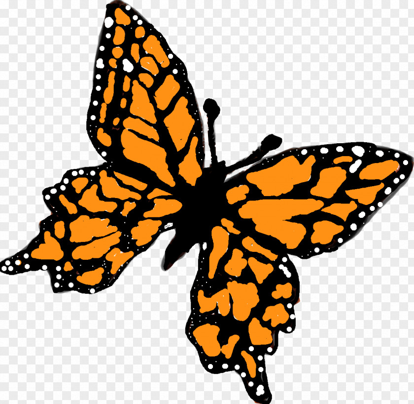 Butterfly Monarch Brush-footed Butterflies Insect Gardening PNG