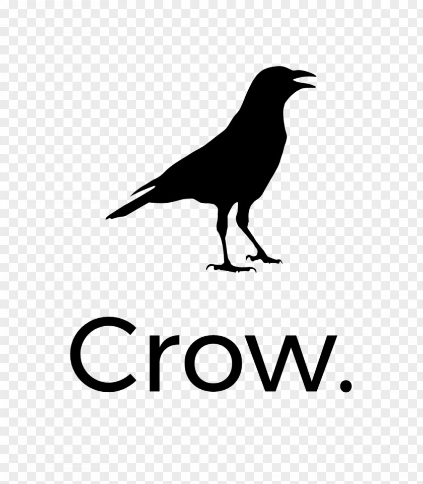 Crow Print Rook American United States PNG