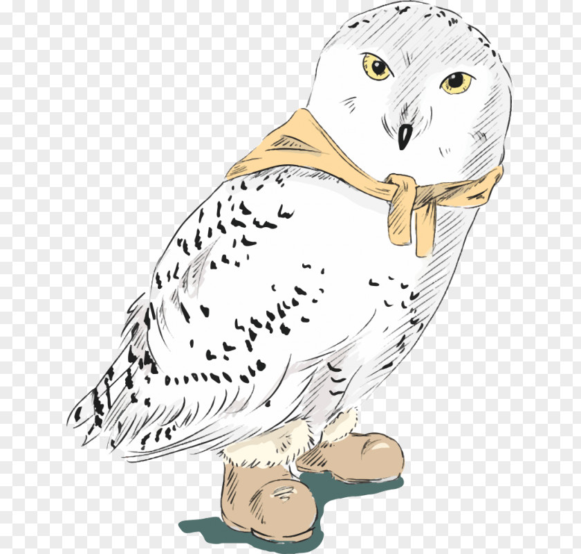 Hot Owl Vector Graphics Image Drawing Adobe Photoshop PNG