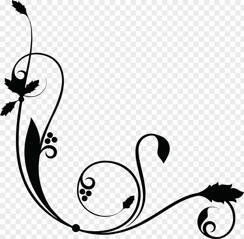 Border Line Decorative Arts Ornament Clip Art PNG