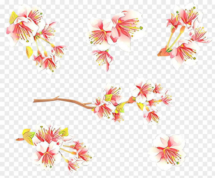 Cherry Blossom Petal PNG