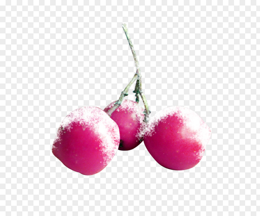 Cherry Food Fruit PNG