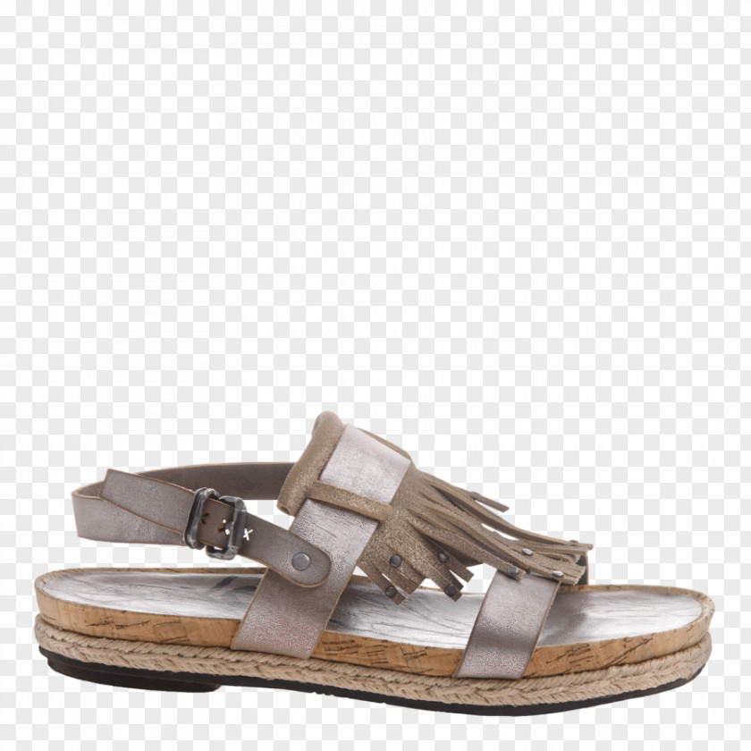 Flat Footwear Slide Sandal Shoe PNG