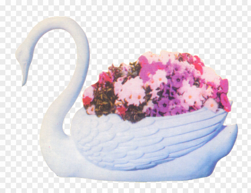 Swan Pot Flower PNG