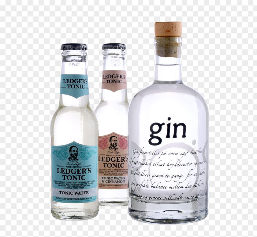 Vodka Liqueur Tonic Water Glass Bottle Ledger PNG