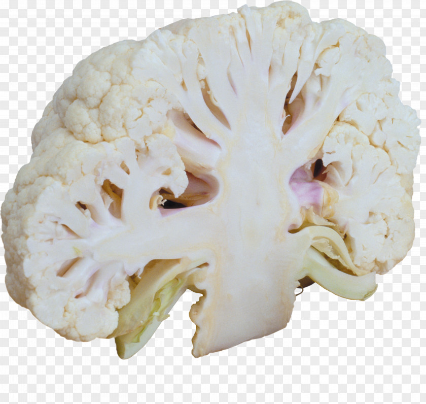 Cauliflower Broccoli Cabbage Vegetable Food PNG