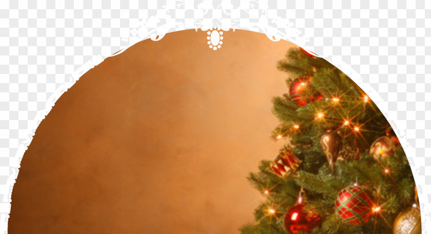 Christmas Tree O Tannenbaum Gift PNG