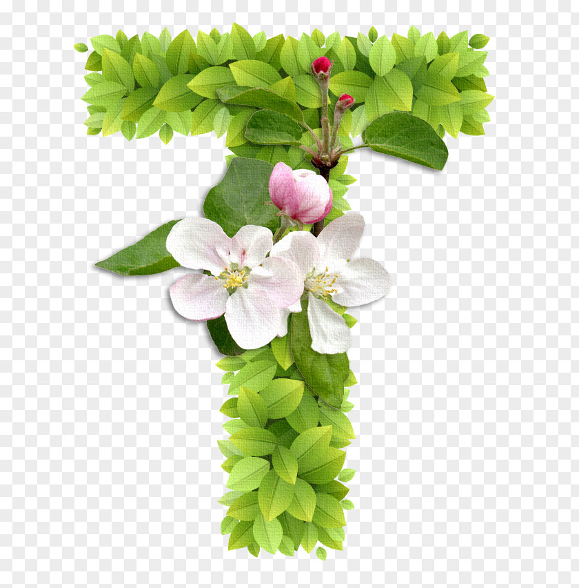 Flower Letter Edible Alphabet Monogram PNG