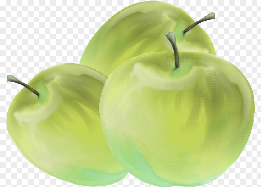 Green Apple Macintosh Granny Smith PNG