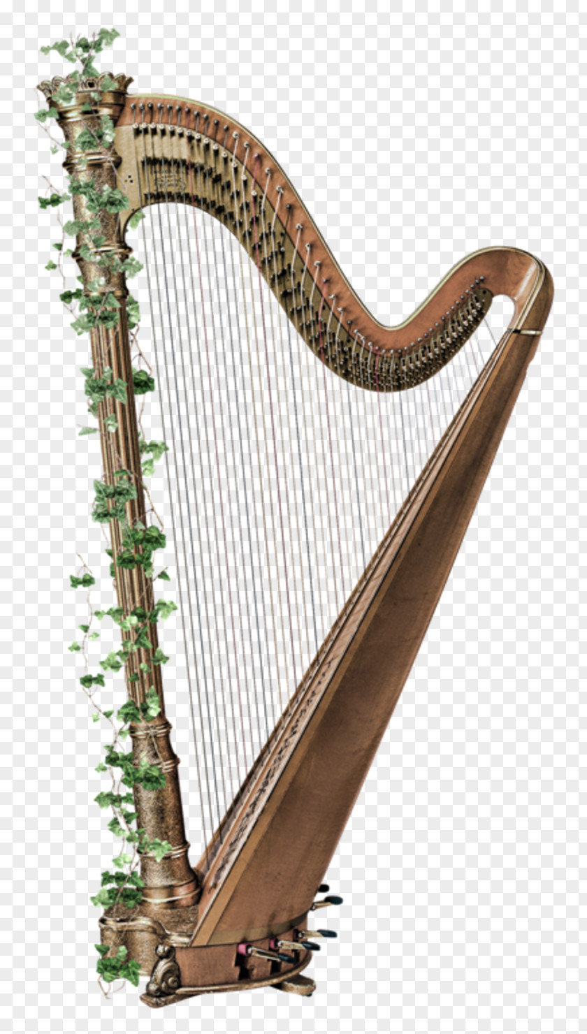 Harp Celtic Musical Instruments String PNG