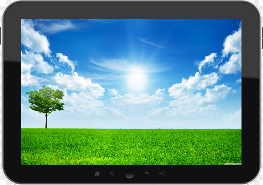 Nature Desktop Wallpaper High-definition Video Television 4K Resolution 1080p PNG