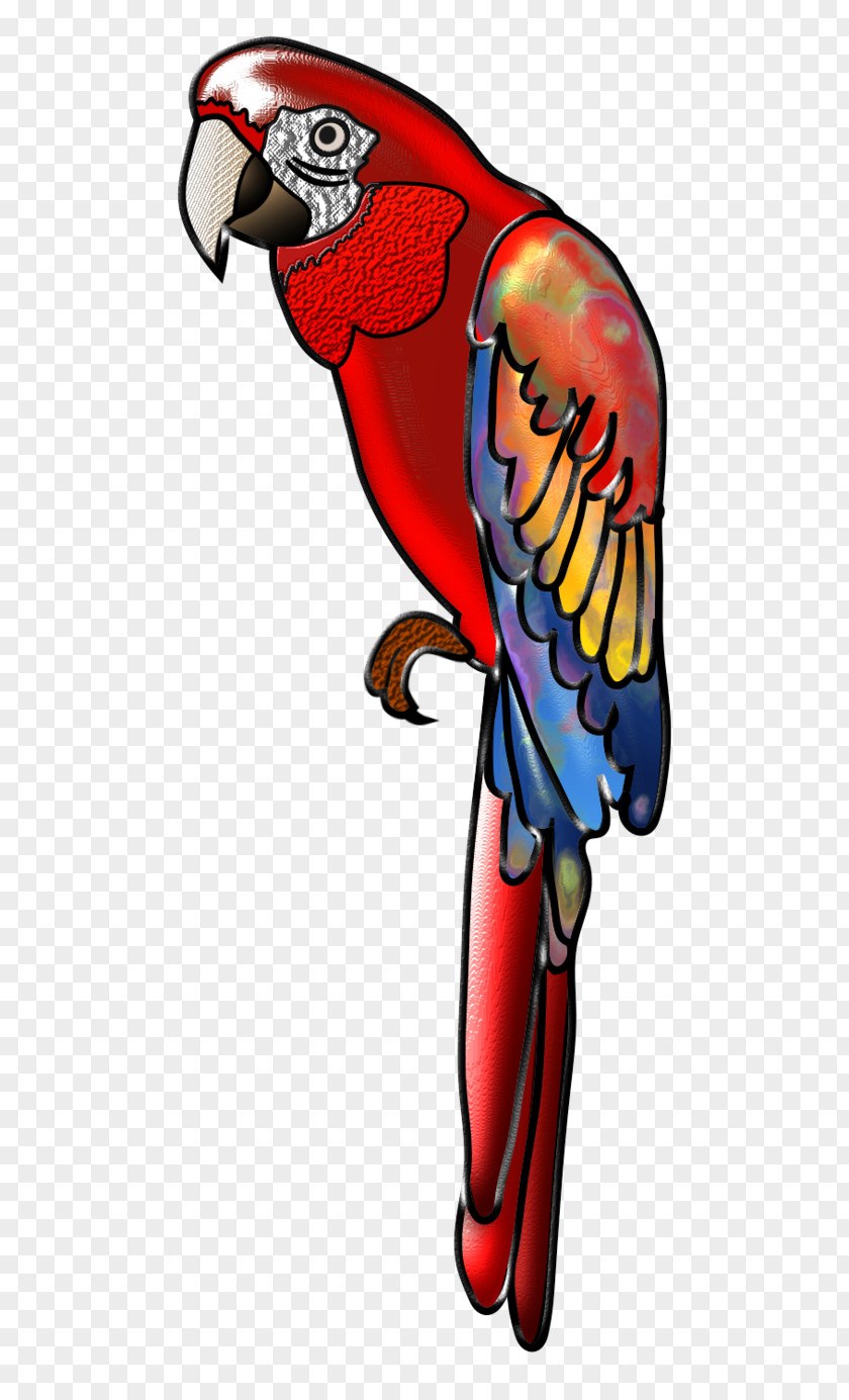 Bird Scarlet Macaw Parrot Beak PNG