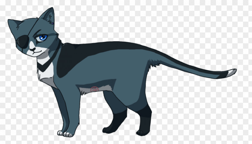 Kitten Ciel Phantomhive Whiskers Korat Black Cat PNG