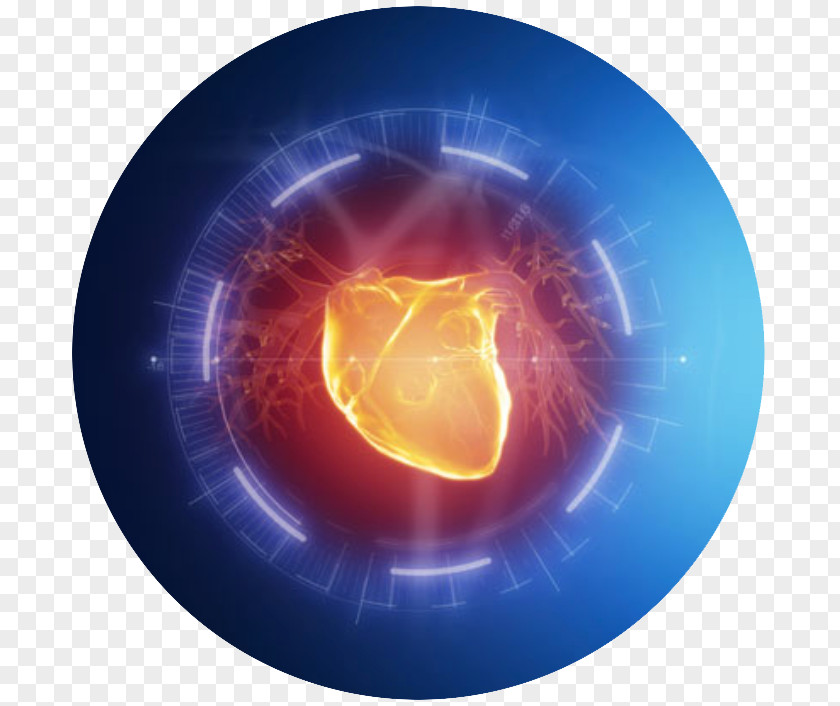 Science Seminar Poster Design Cardiovascular Disease Heart Circulatory System Coronary Artery Cardiology PNG