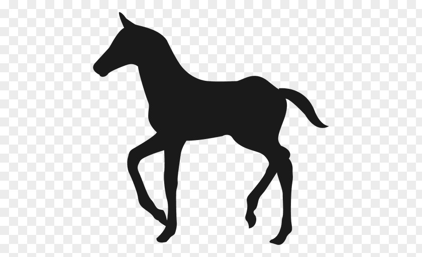 Unicorn The Black Winged Horse PNG
