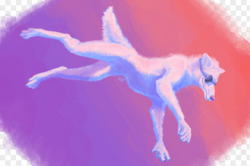 Dog Canidae Mammal Desktop Wallpaper PNG