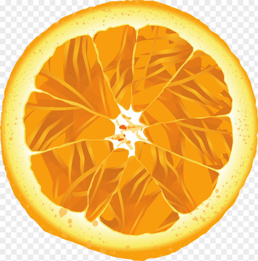 Grapefruit Juice Orange PNG