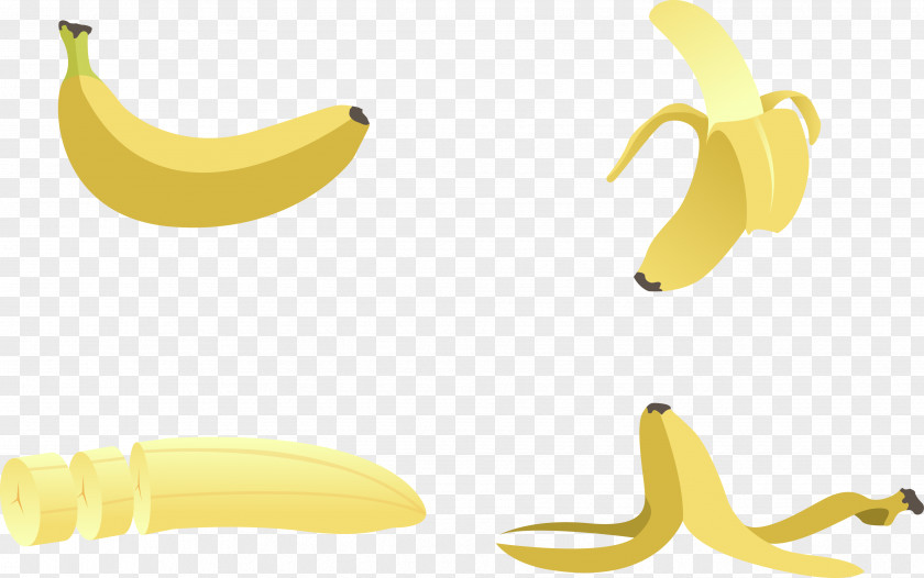 Vector Banana Peel PNG