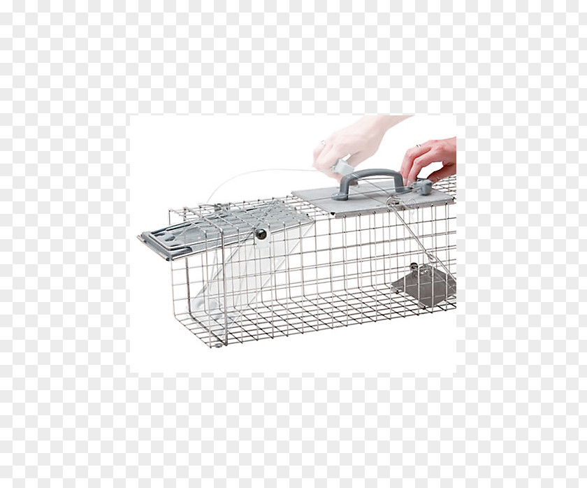 Mouse Trap Cage Trapping Squirrel Fish Mousetrap PNG
