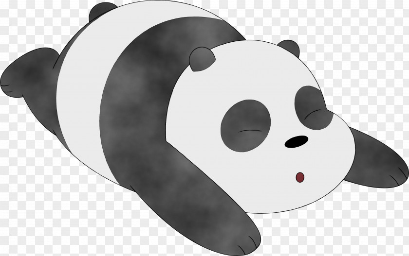Bear Panda Cartoon PNG
