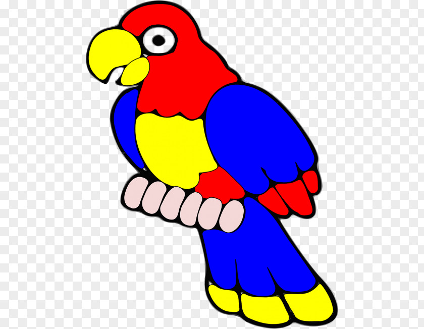 Bird Clip Art Parrot Vector Graphics PNG