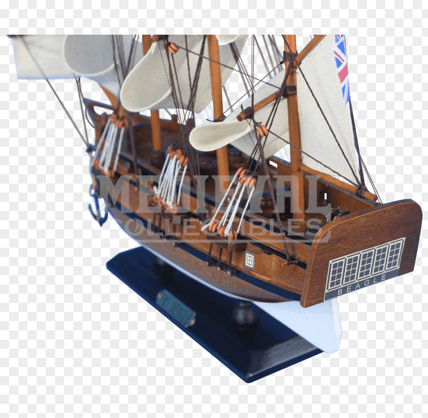 Ship Replica Caravel The Voyage Of Beagle HMS PNG