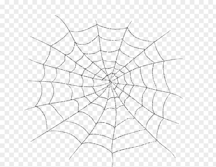 Spider Web Silk Transparency And Translucency Clip Art PNG