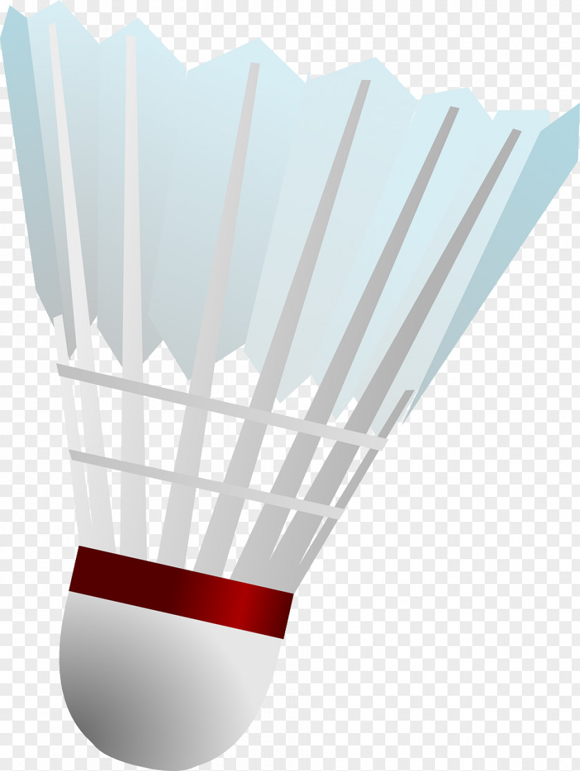 Badminton Shuttlecock Badmintonracket PNG