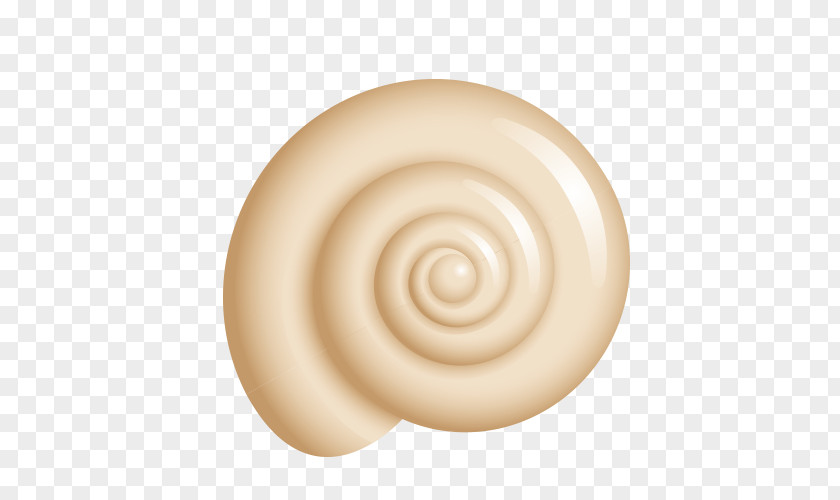 Candy Spiral Snail PNG