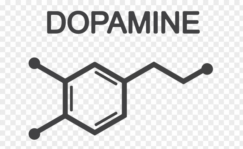 Divergent Effect Dopamine Euclidean Vector Neurotransmitter Graphics Serotonin PNG