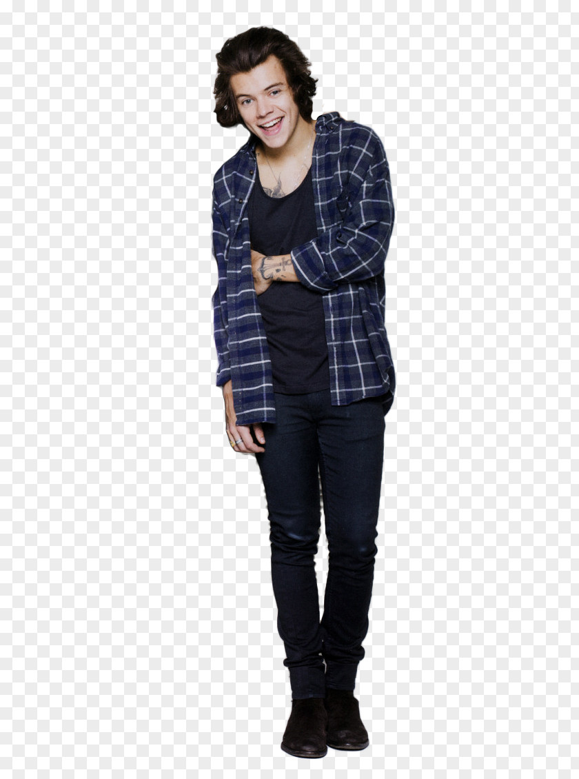 Harry Styles Blazer Jeans Denim Tartan Fashion PNG