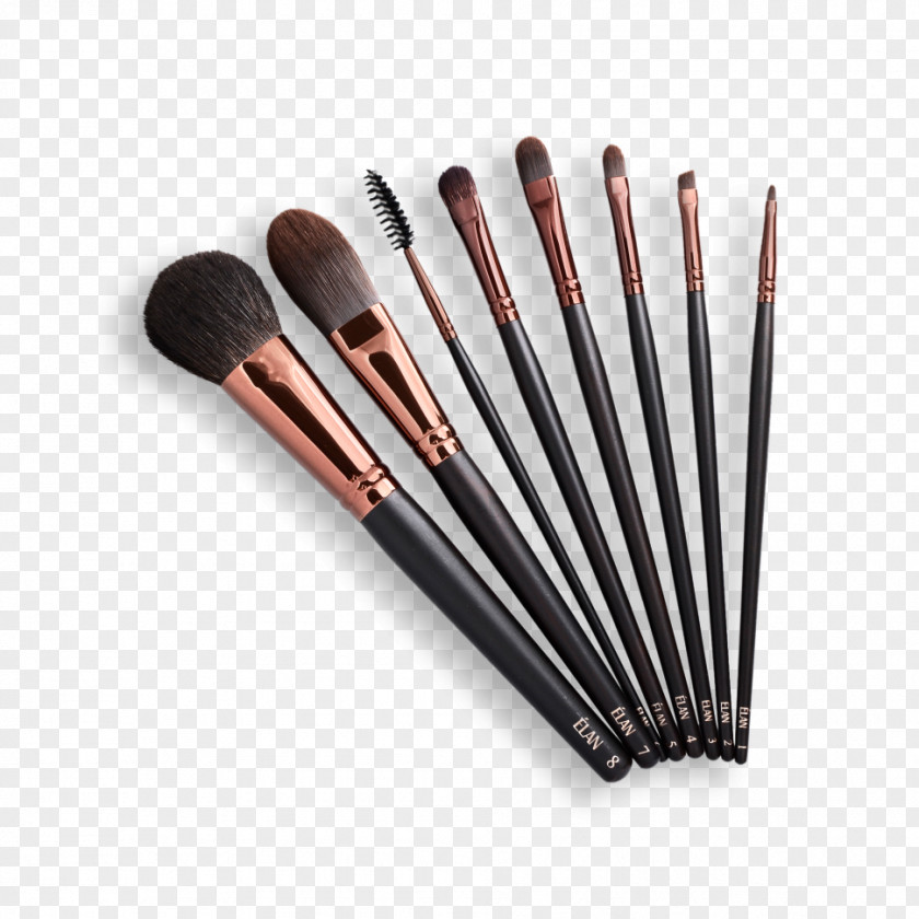 Make-up Paintbrush Cosmetics Makeup Brush PNG