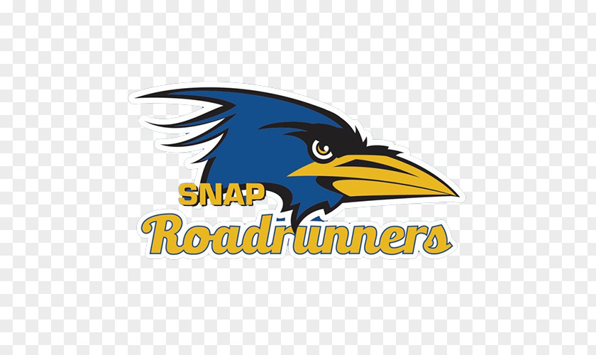 Roadrunner Logo Beak Brand Cartoon Font PNG