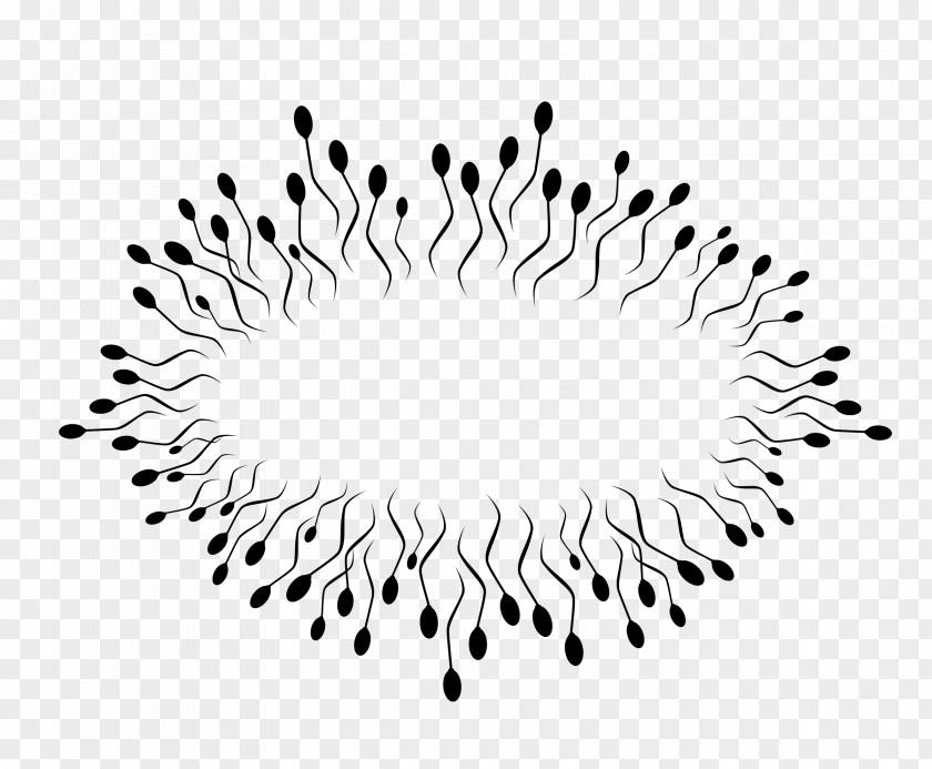 Spermatozoon Semen Clip Art PNG