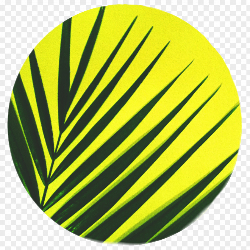 Yellow Icon Line PNG