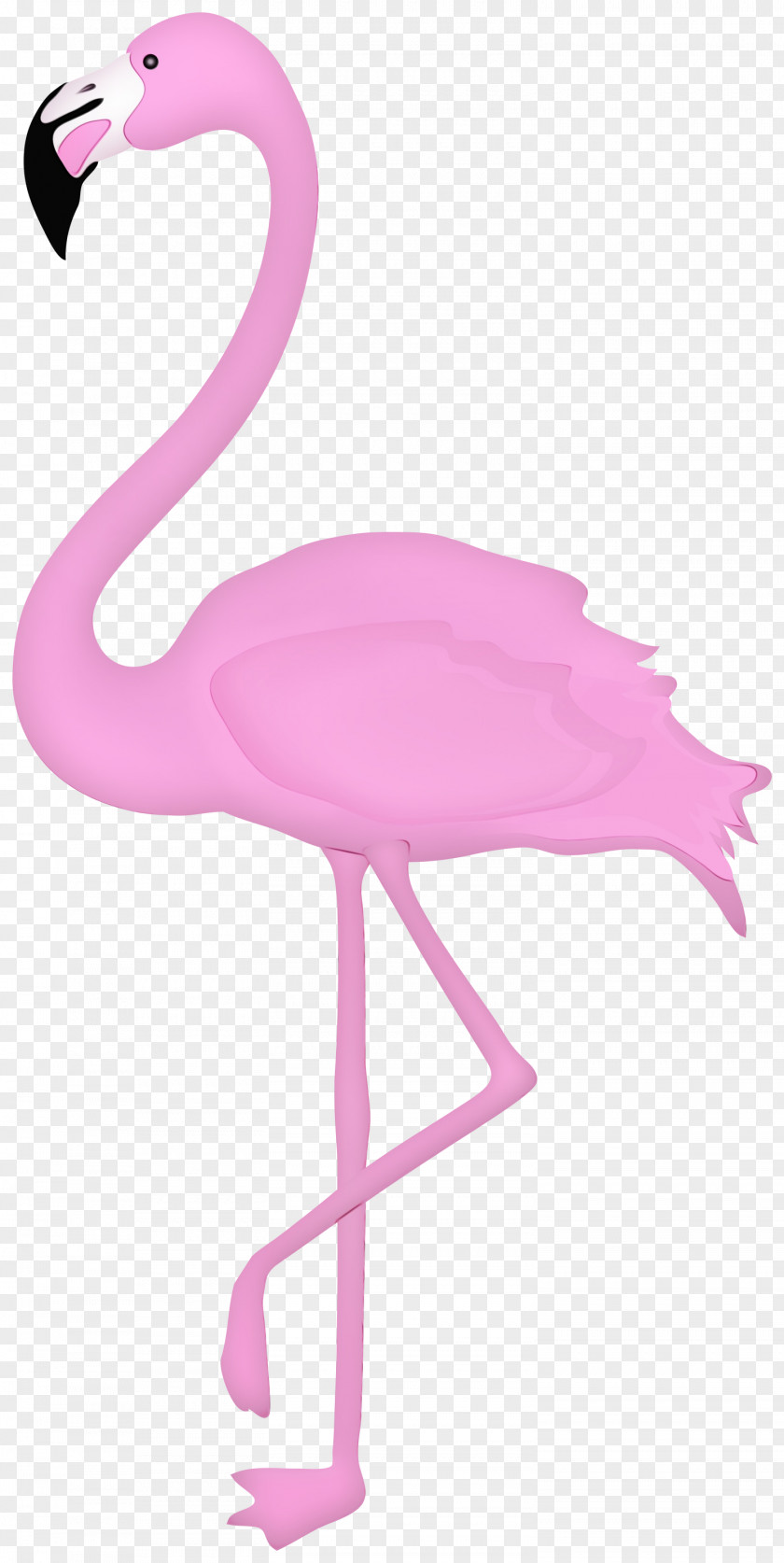 Beak Furniture Pink Flamingo PNG