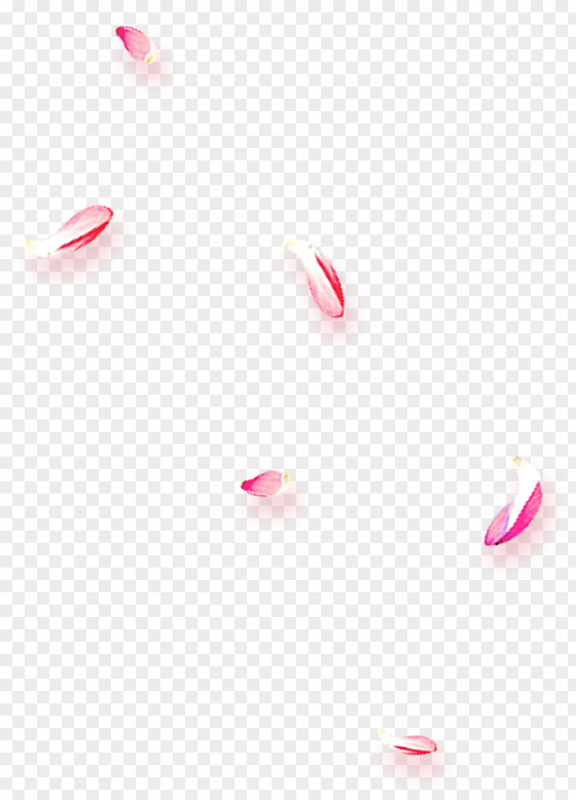 Floating Cherry Blossom Petals Textile Petal Pattern PNG