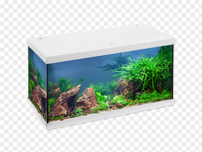 Light Aquarium Light-emitting Diode Eheim Lighting PNG